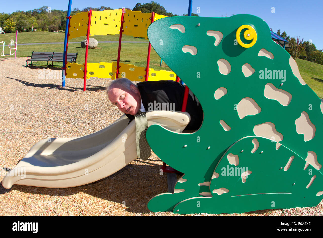 Frog Tongue Stock Photos & Frog Tongue Stock Images Alamy