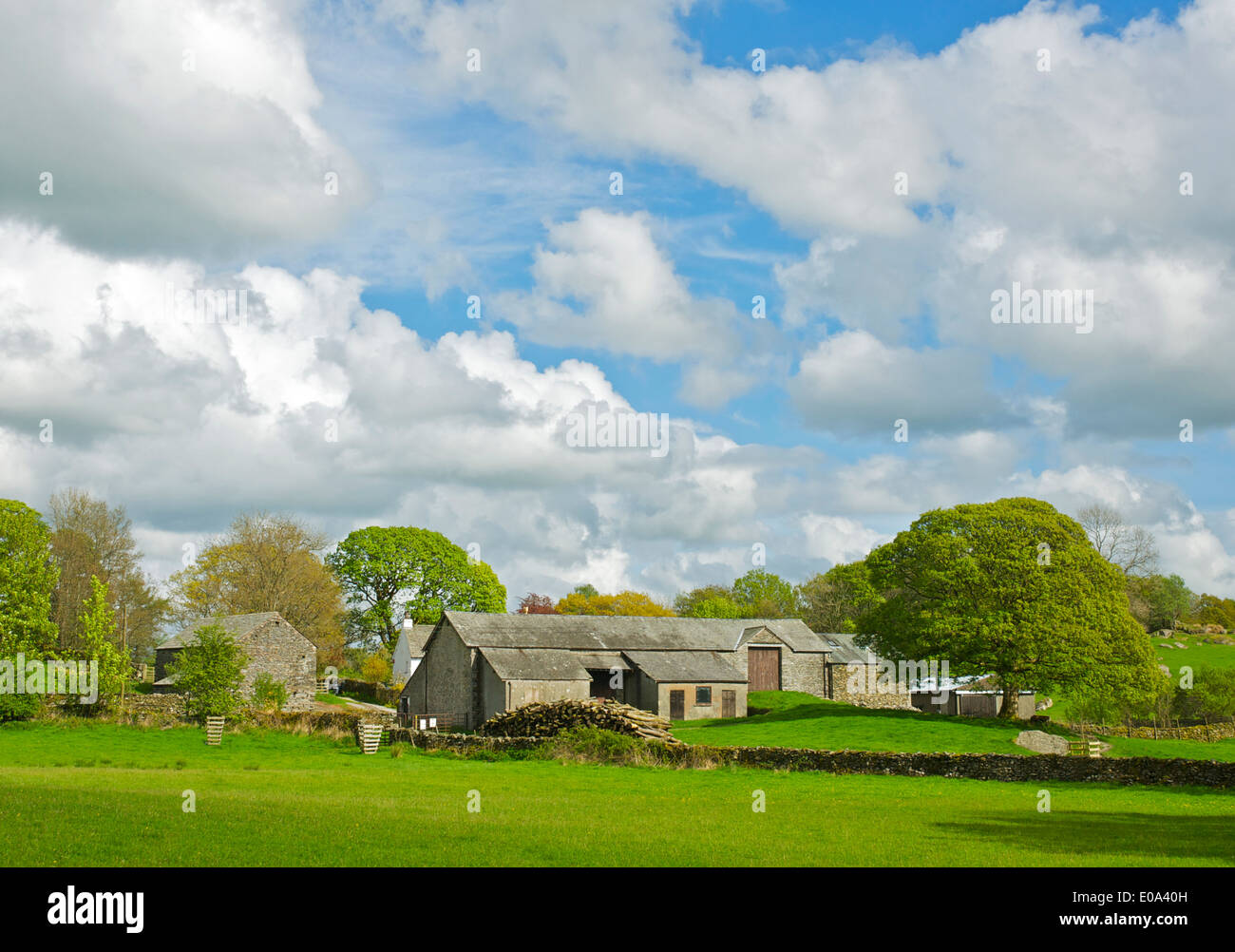 Farm near Staveley, Lake District National Park, Cumbria, England UK