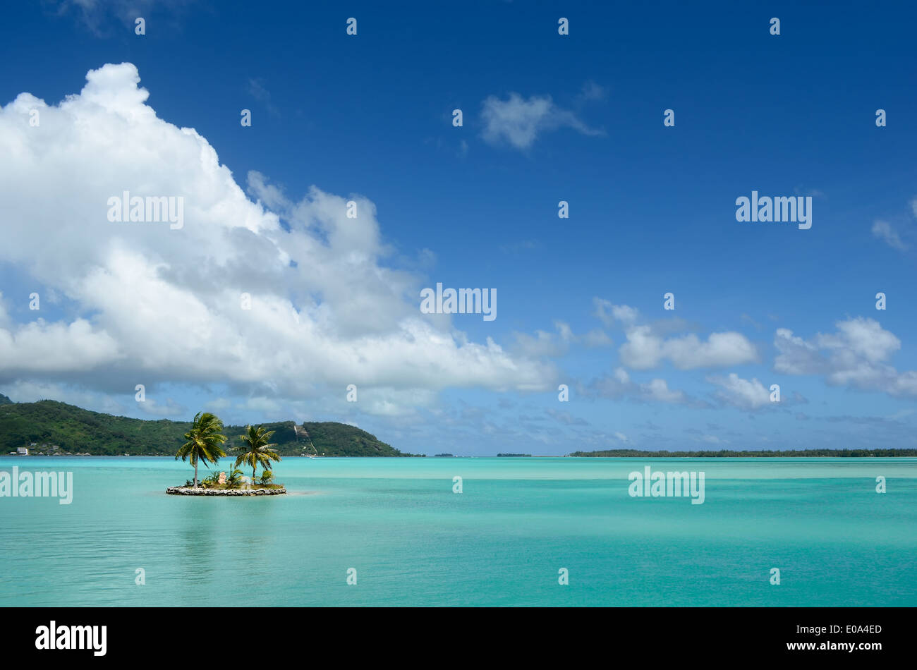 Small island with coconut palm trees in the clear water of the blue lagoon of Bora Bora near Tahiti in French Polynesia. Stock Photo