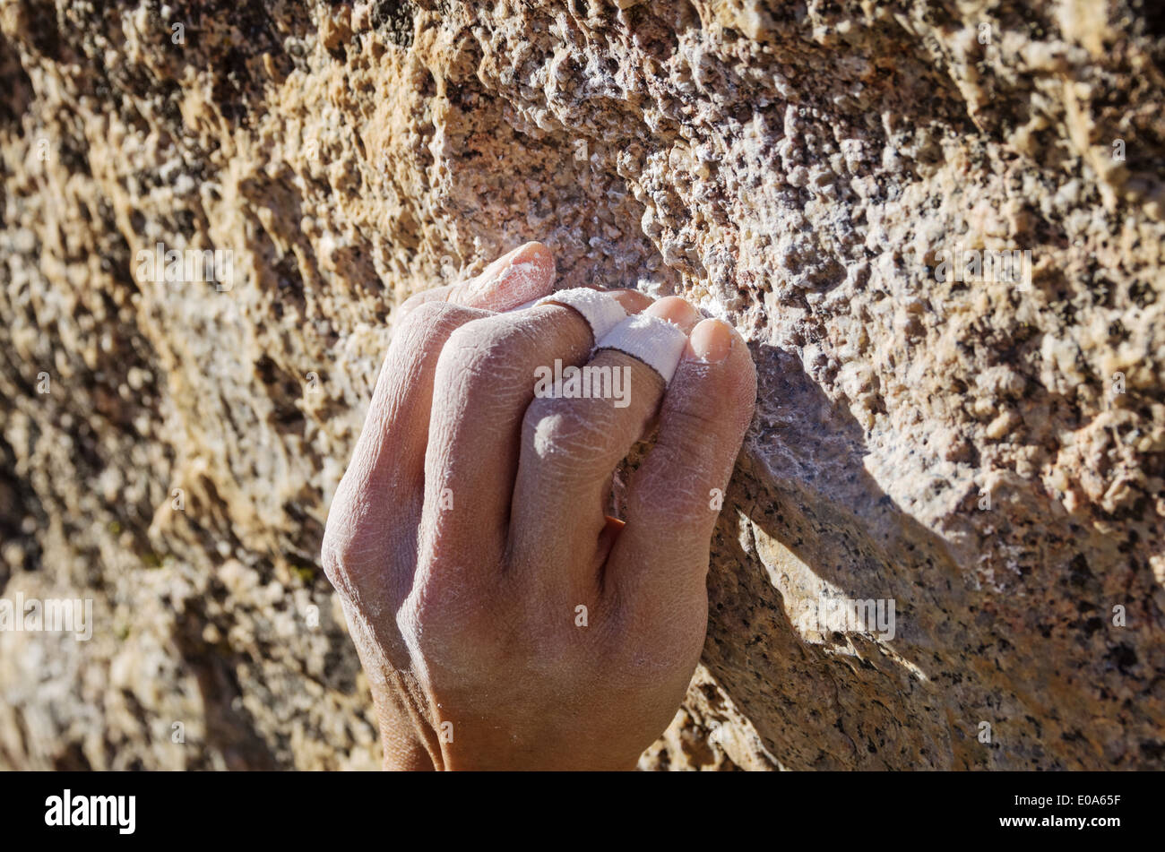 the hand of a woman climber in a crimp grip grabbing a small granite rock climbing hold Stock Photo