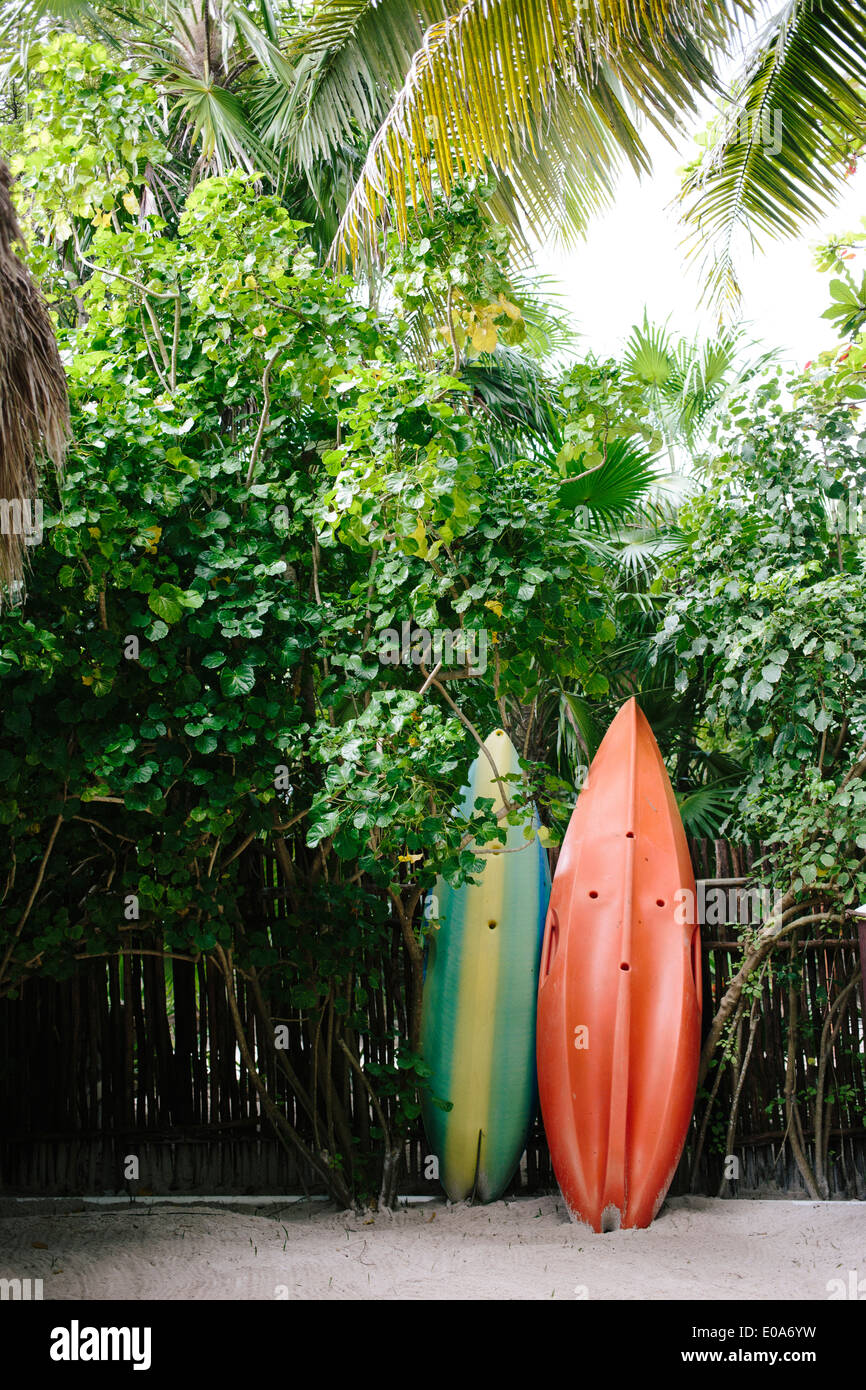 Two surfboards leaning on a wooden fence under palm trees and lush