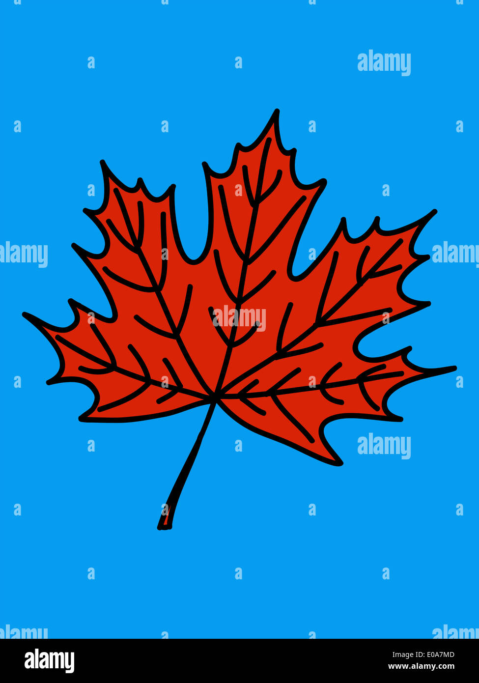 Red maple leaf illustration Stock Photo