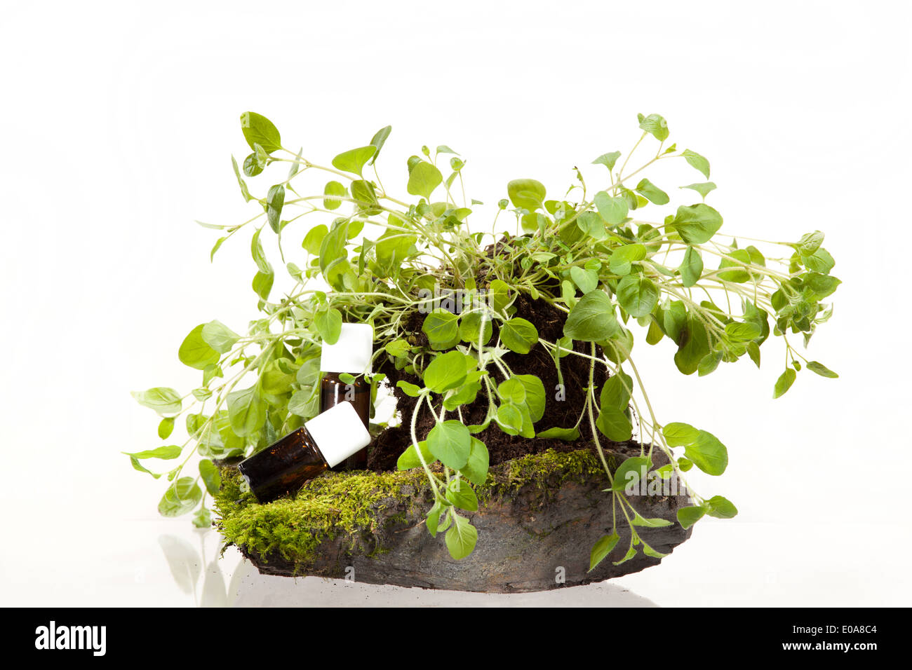 Essential oil of herbs for use in aromatherapy Stock Photo