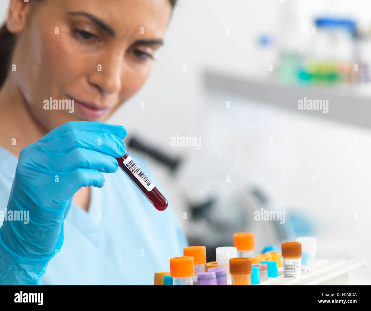 Lab Human Sample Scientist viewing various human samples for testing in the laboratory ...