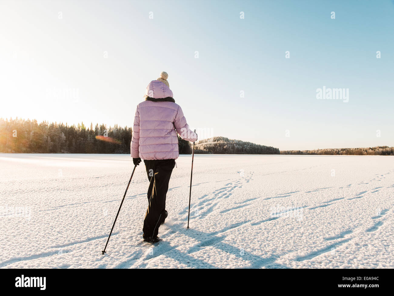 Woman nordic walking through snow covered field Stock Photo