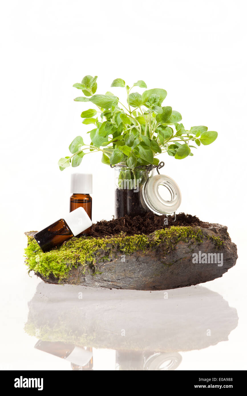 Essential oil of herbs for use in aromatherapy Stock Photo