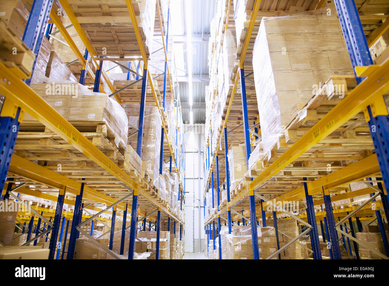 Stacked shelves in distribution warehouse Stock Photo