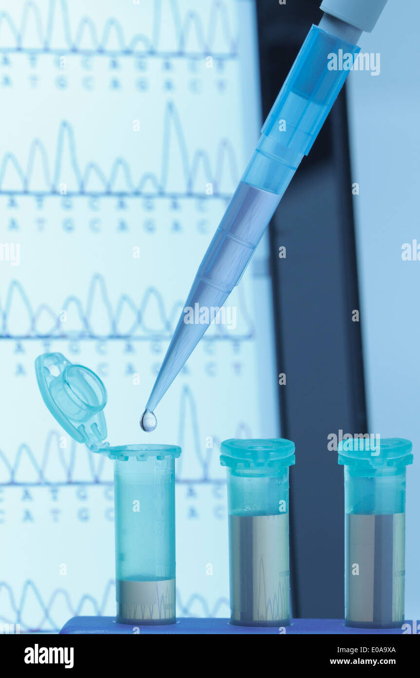 Genetic research Micropipette filling eppendorf microcentrifuge tubes commonly used in biochemical and biological research Stock Photo