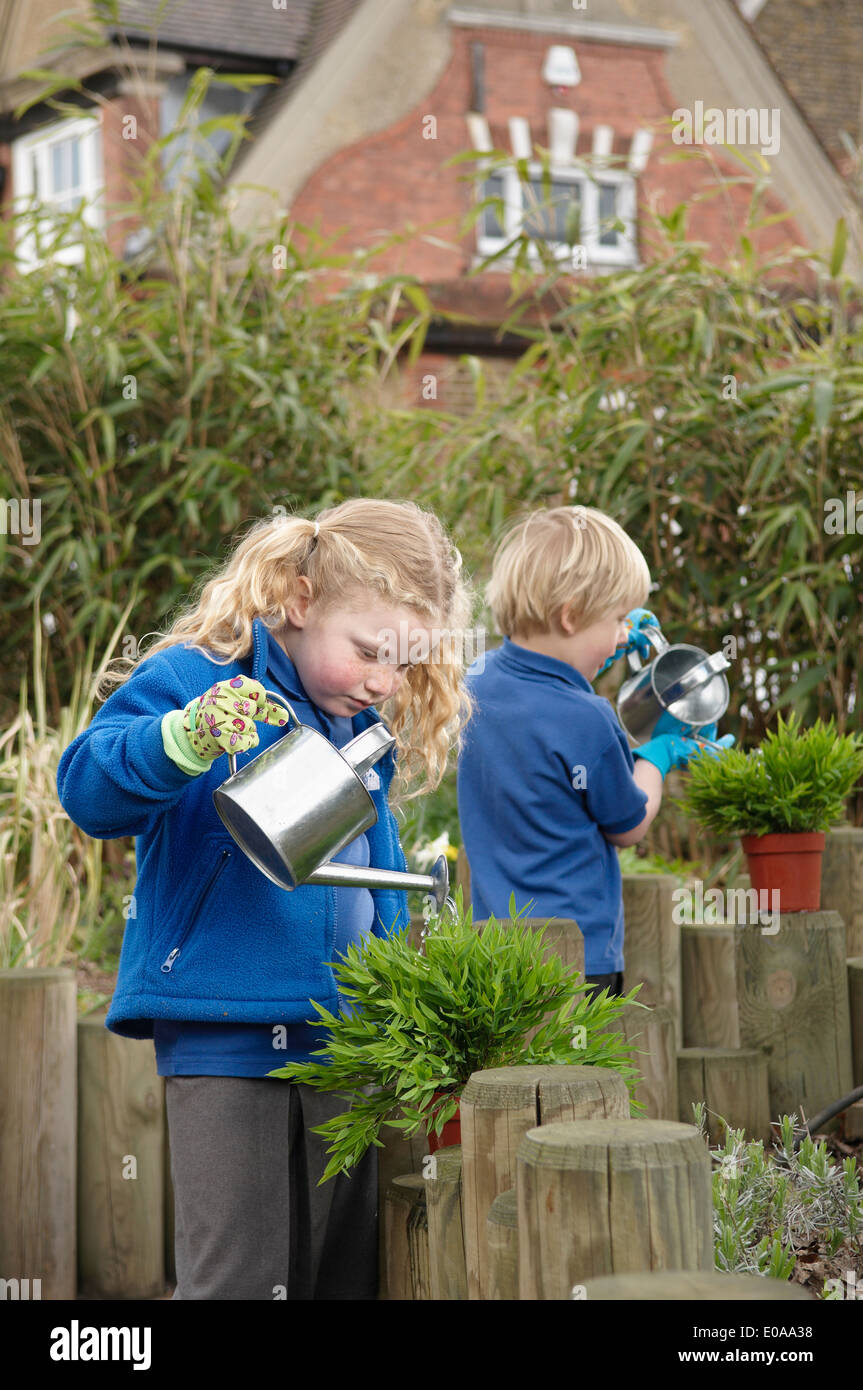 School boy and girl watering plants in garden Stock Photo - Alamy