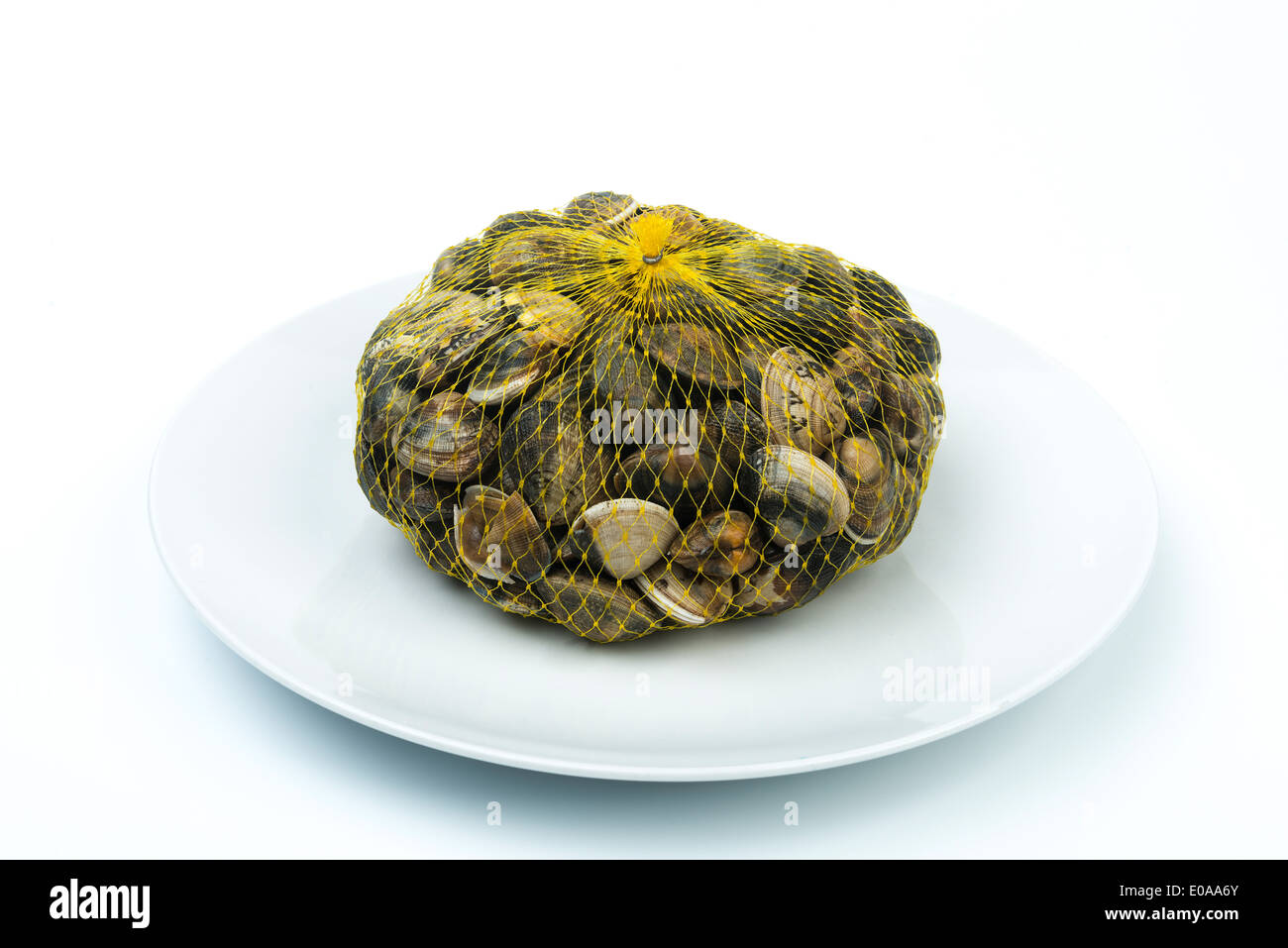 Clams tourism hires stock photography and images Alamy