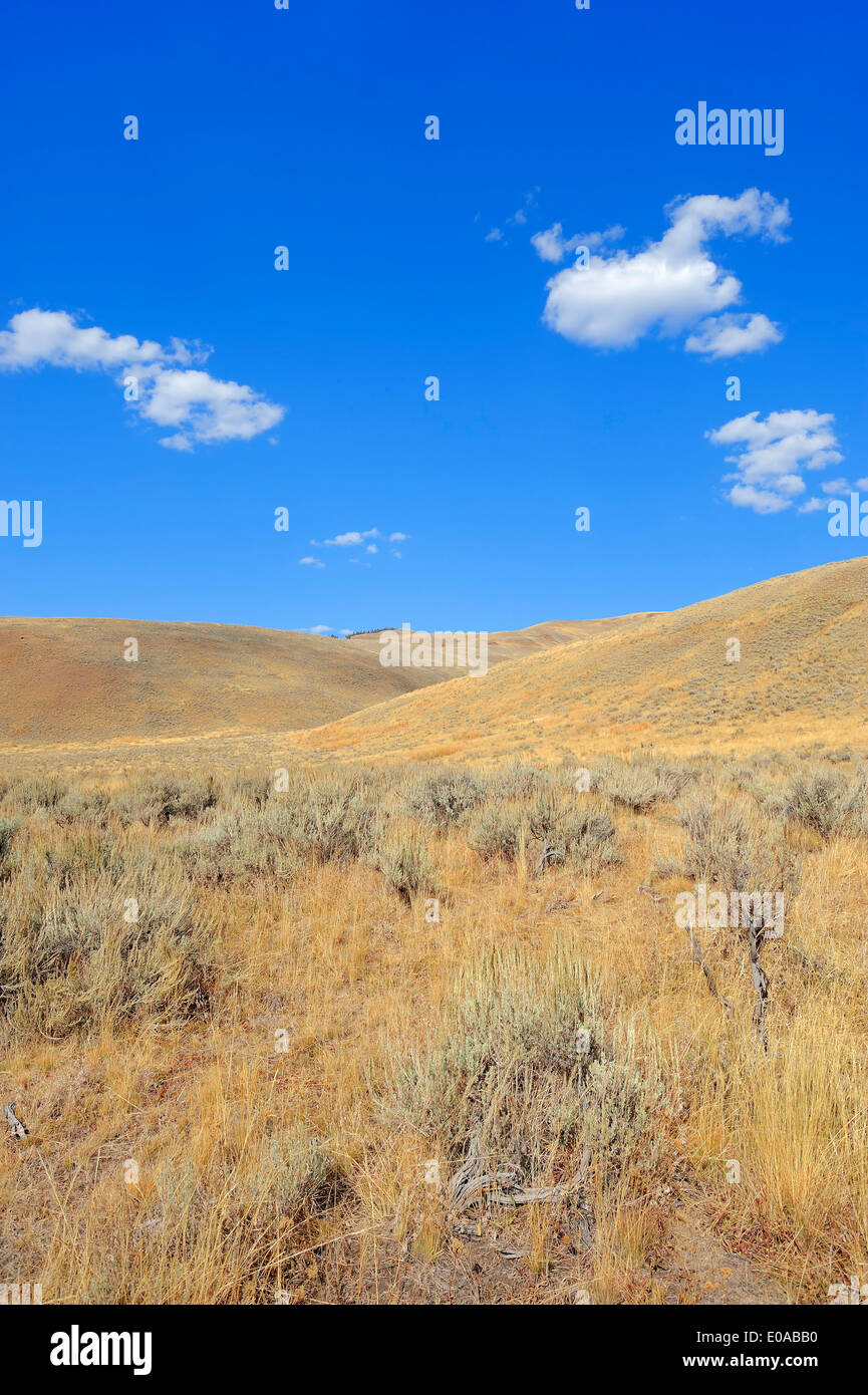 Hills, Yellowstone national park, Wyoming, USA Stock Photo
