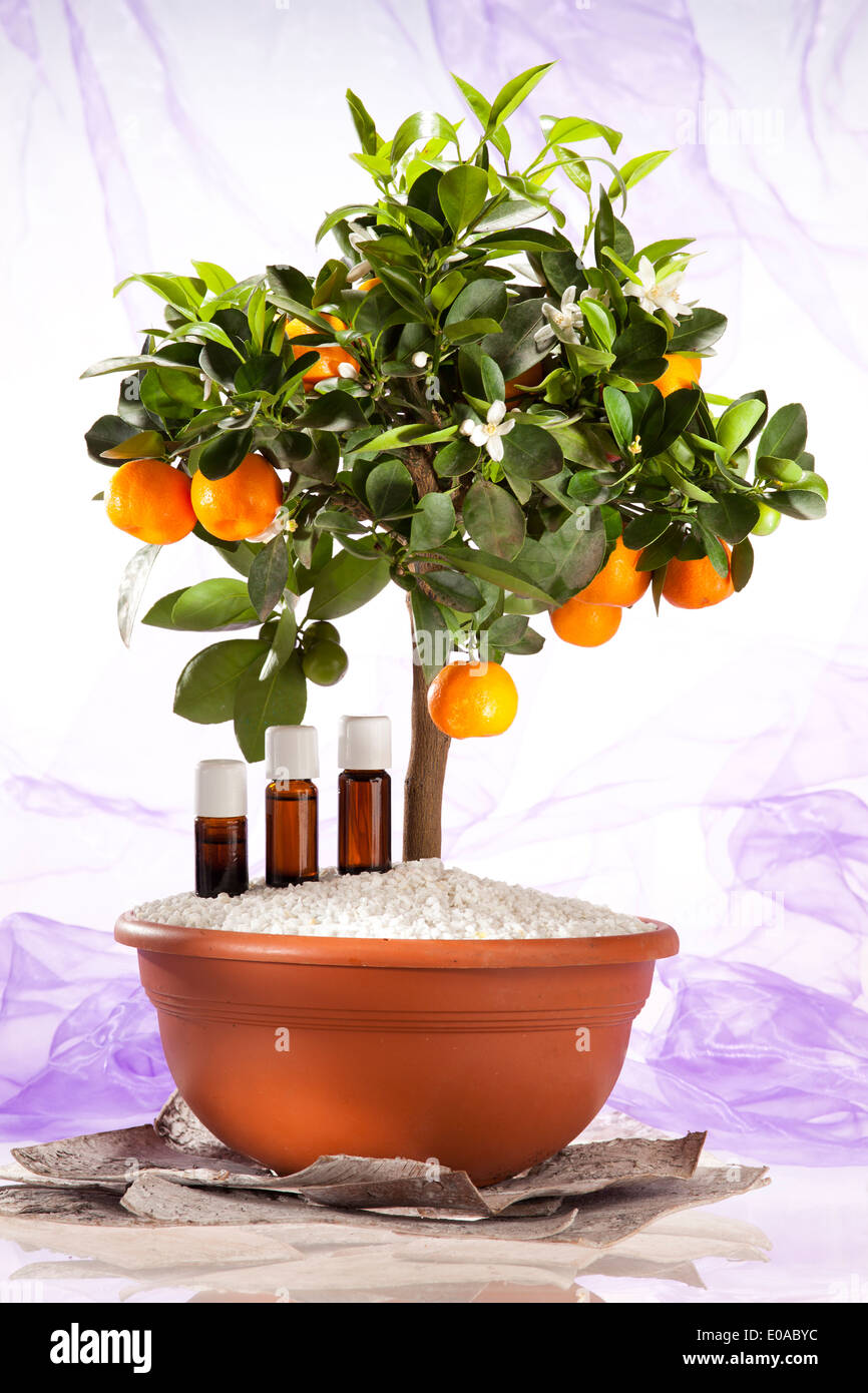 Essential oils of orange tree Stock Photo