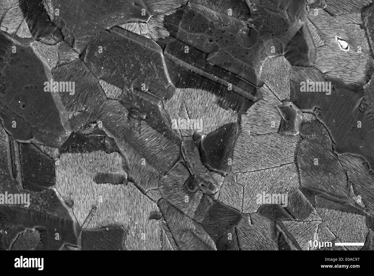 Scanning Electron Micrograph of fracture surface of stainless steel, rouged and etched sample Stock Photo