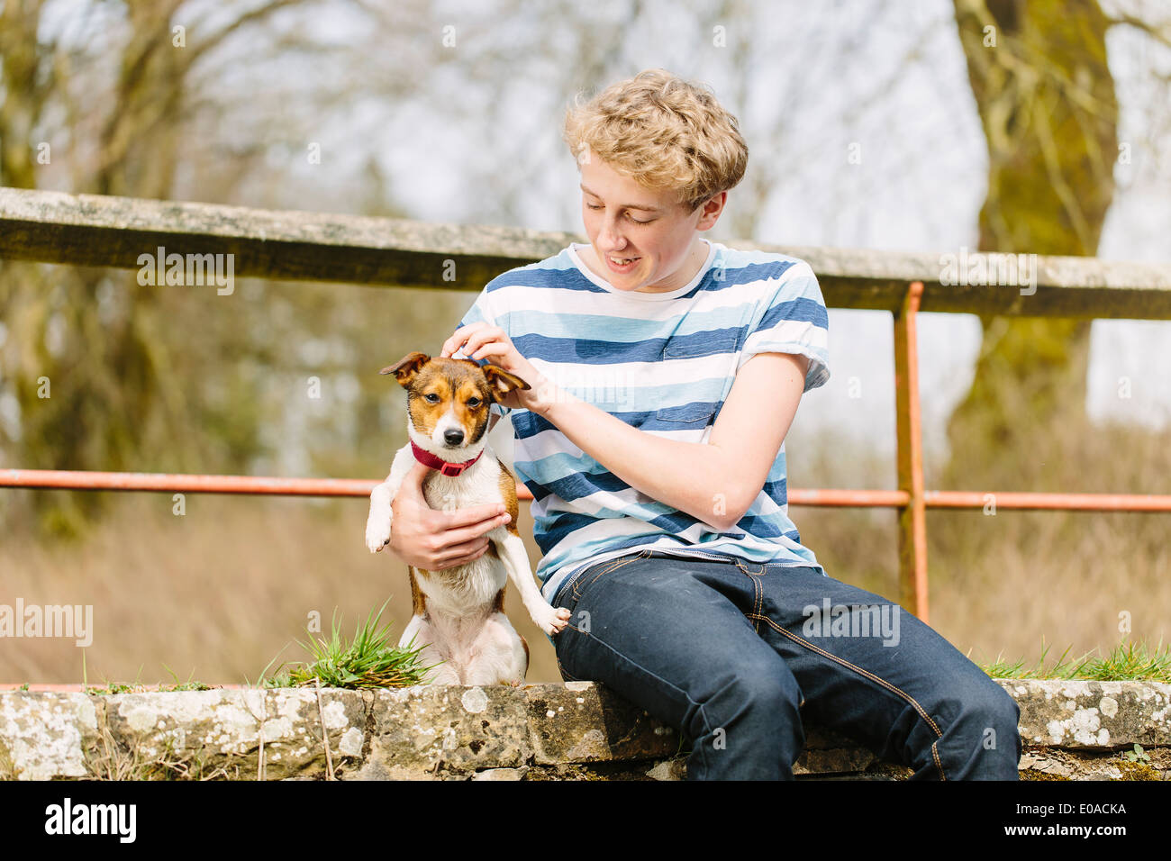 Teenage boy sitting on footbridge with his jack russell dog Stock Photo