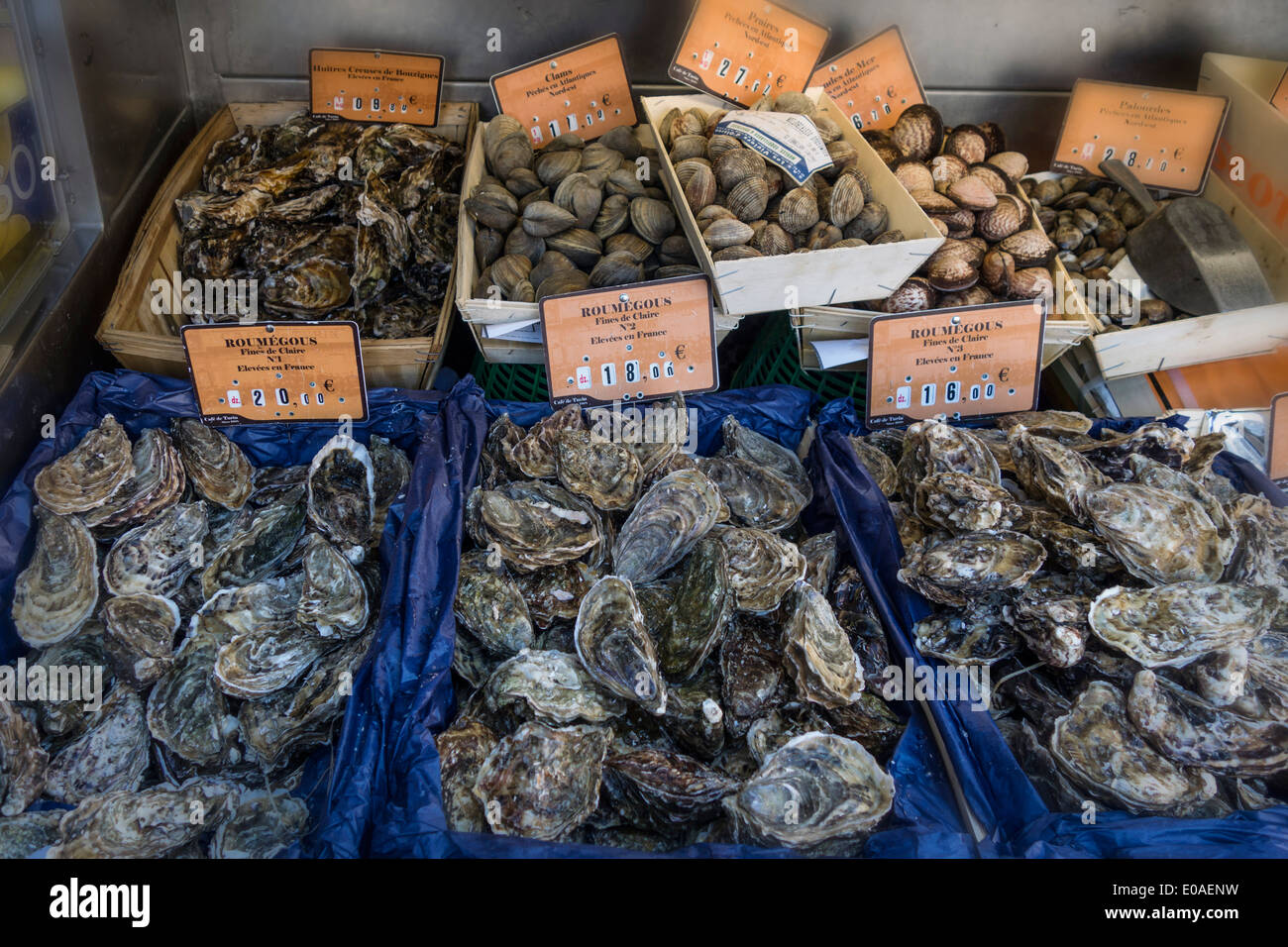 Cafe Turino, Sea Food , Oysters, Nice 