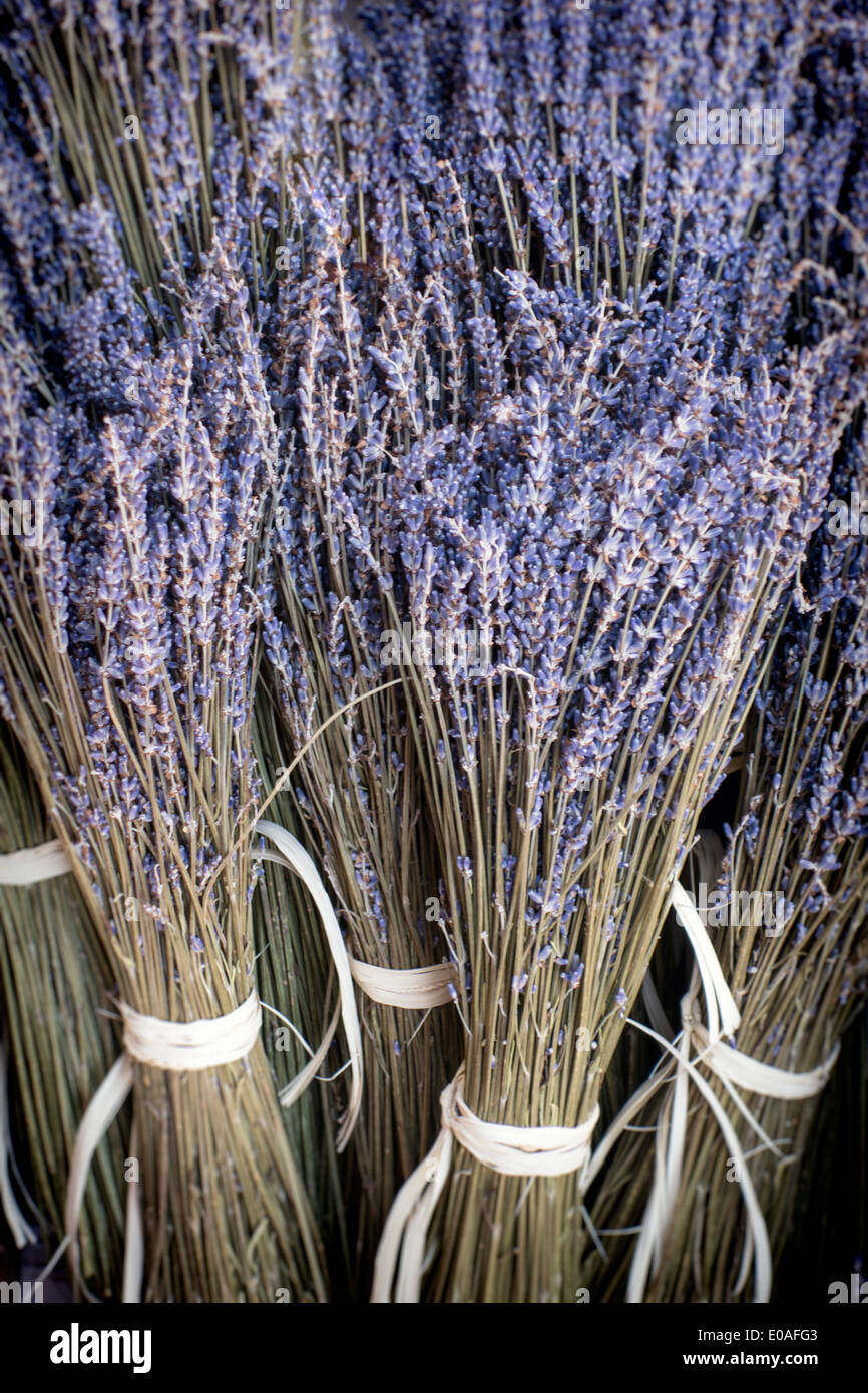 Lavendel, Flower Market, Nice, Alpes Maritimes, Provence, French Riviera, Mediterranean, France, Europe,  Stock Photo