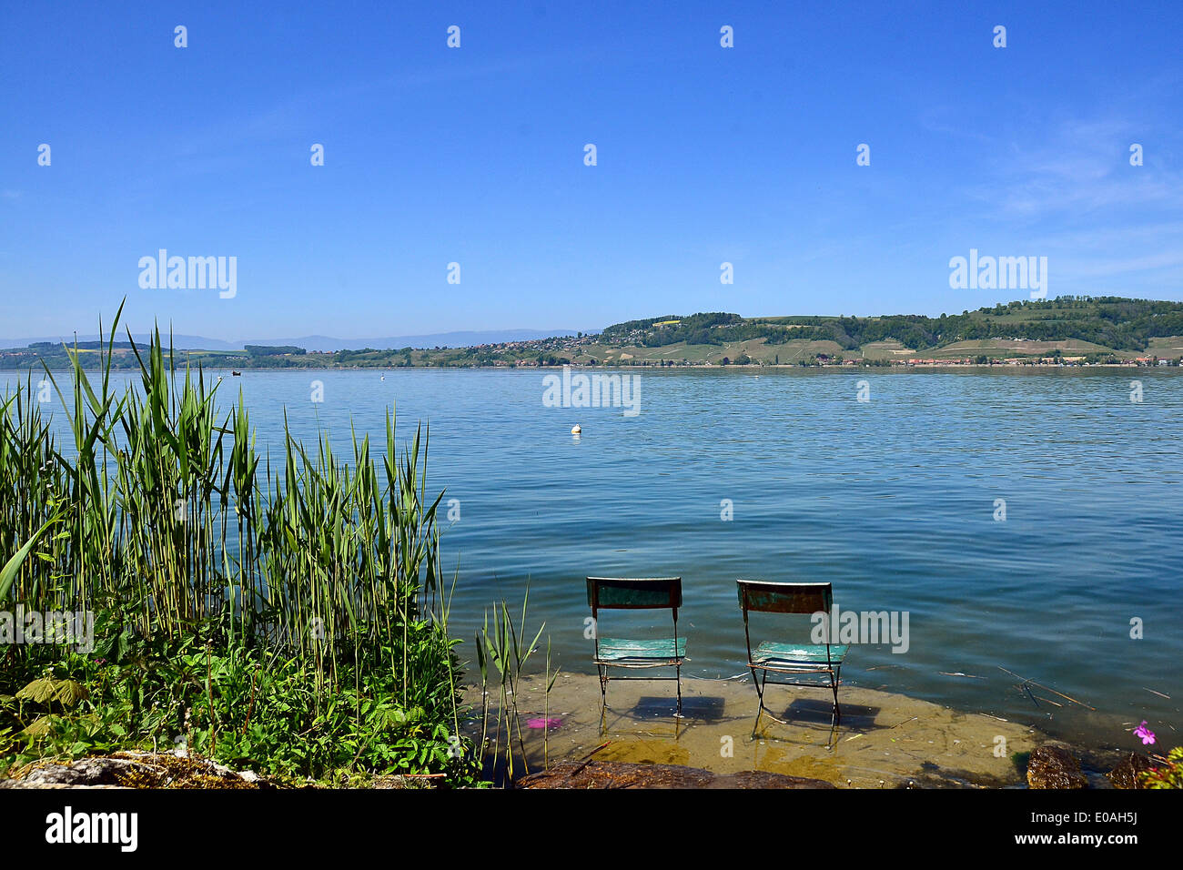 Stühle im Wasser, Murten Stock Photo