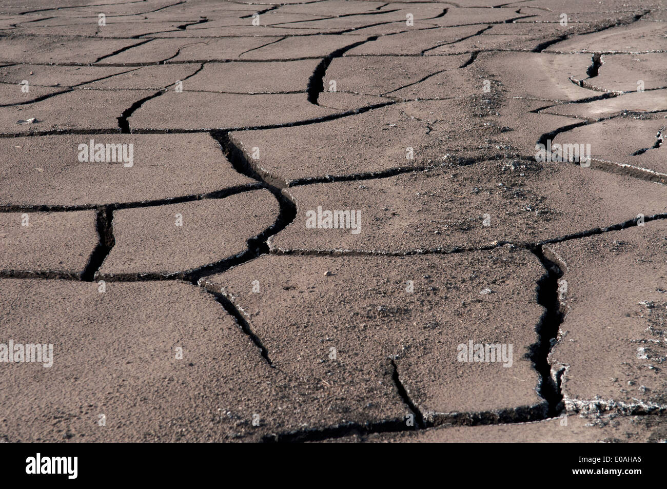 Cracked black soil, Luoping area, Yunnan, China Stock Photo