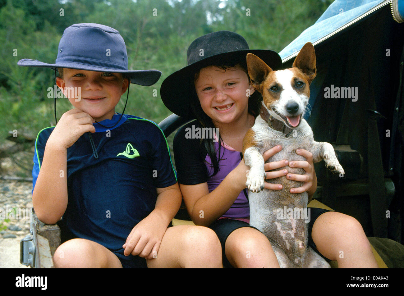 dog hats australia