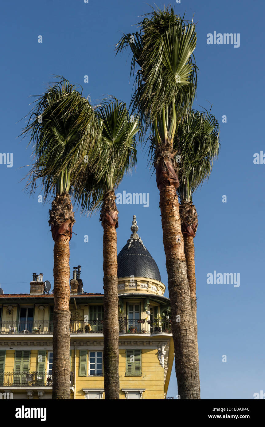 Palm Trees, Nice, Belle Epoque building, Alpes Maritimes, Provence, French Riviera, Mediterranean, France, Europe,  Stock Photo