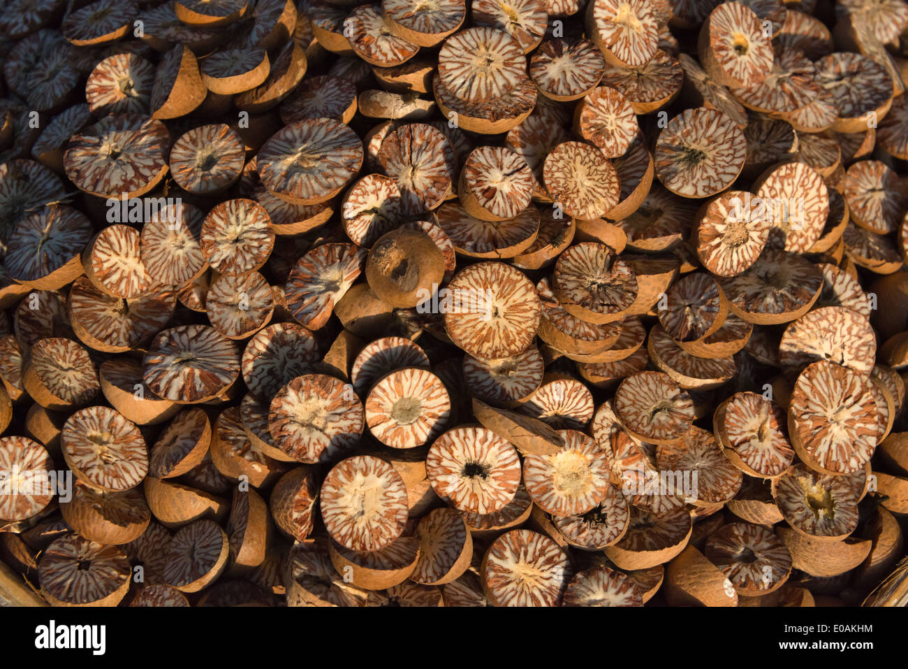 Chopped betel nuts, Sittwe, Rakhine State, Myanmar Stock Photo