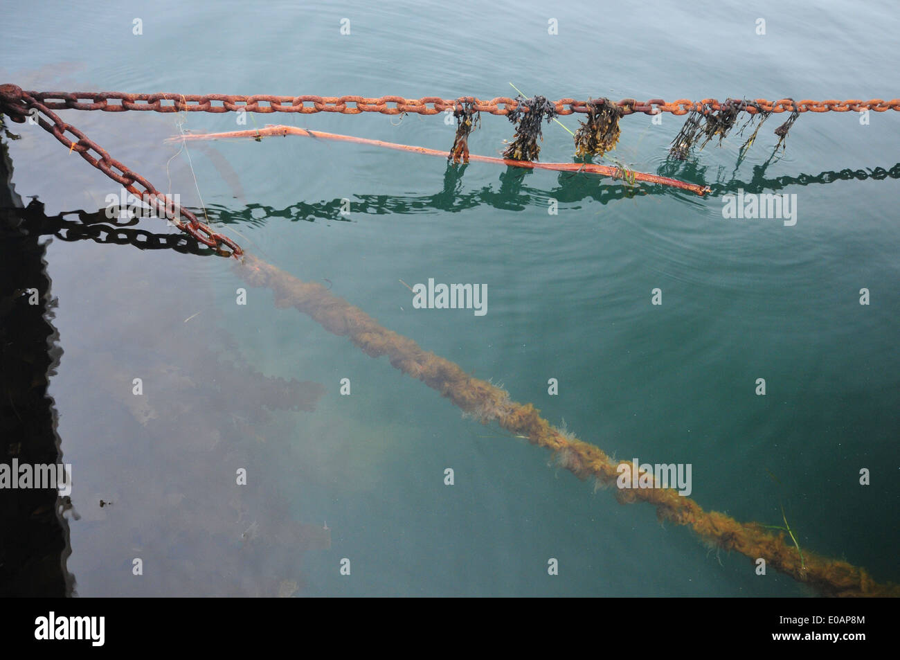 mooring chains in water Bar Harbor,Maine - USA Stock Photo