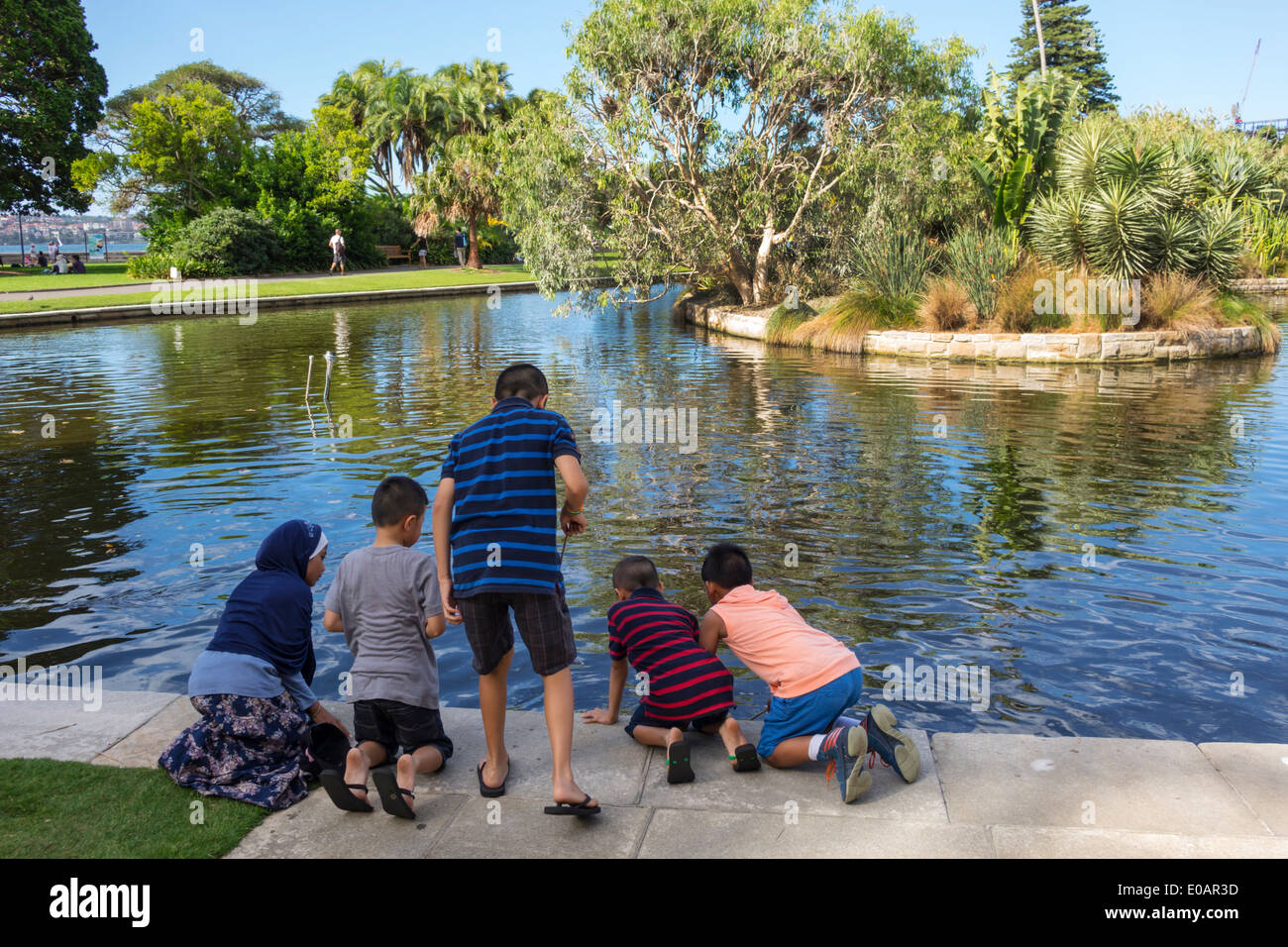 Sydney Australia,Royal Botanic Gardens,Asian boy boys,male kid kids child children youngster,Main Pond,AU140309167 Stock Photo