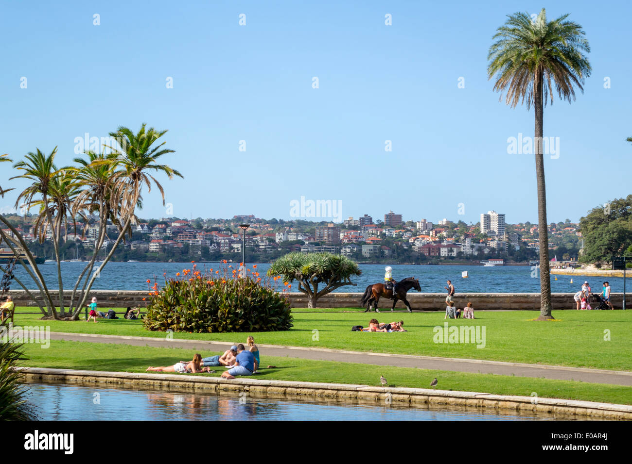 Sydney Australia,Royal Botanic Gardens,Main Pond,Farm Cove,Sydney Harbour,harbor,park,AU140309171 Stock Photo