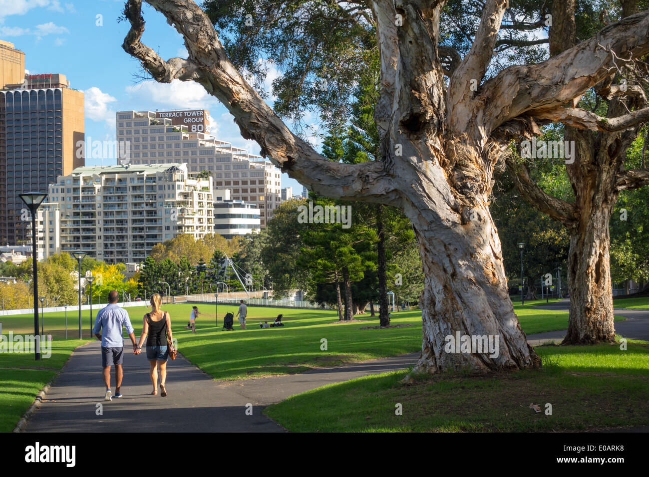 Sydney Australia,Royal Botanic Gardens,The Domain,urban,park,lawn,trees,man men male,woman female women,couple,walking,AU140309208 Stock Photo
