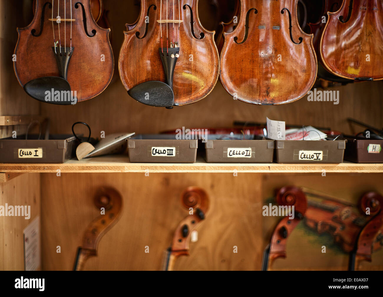 Violins and cellos in a violin maker's Stock Photo Alamy