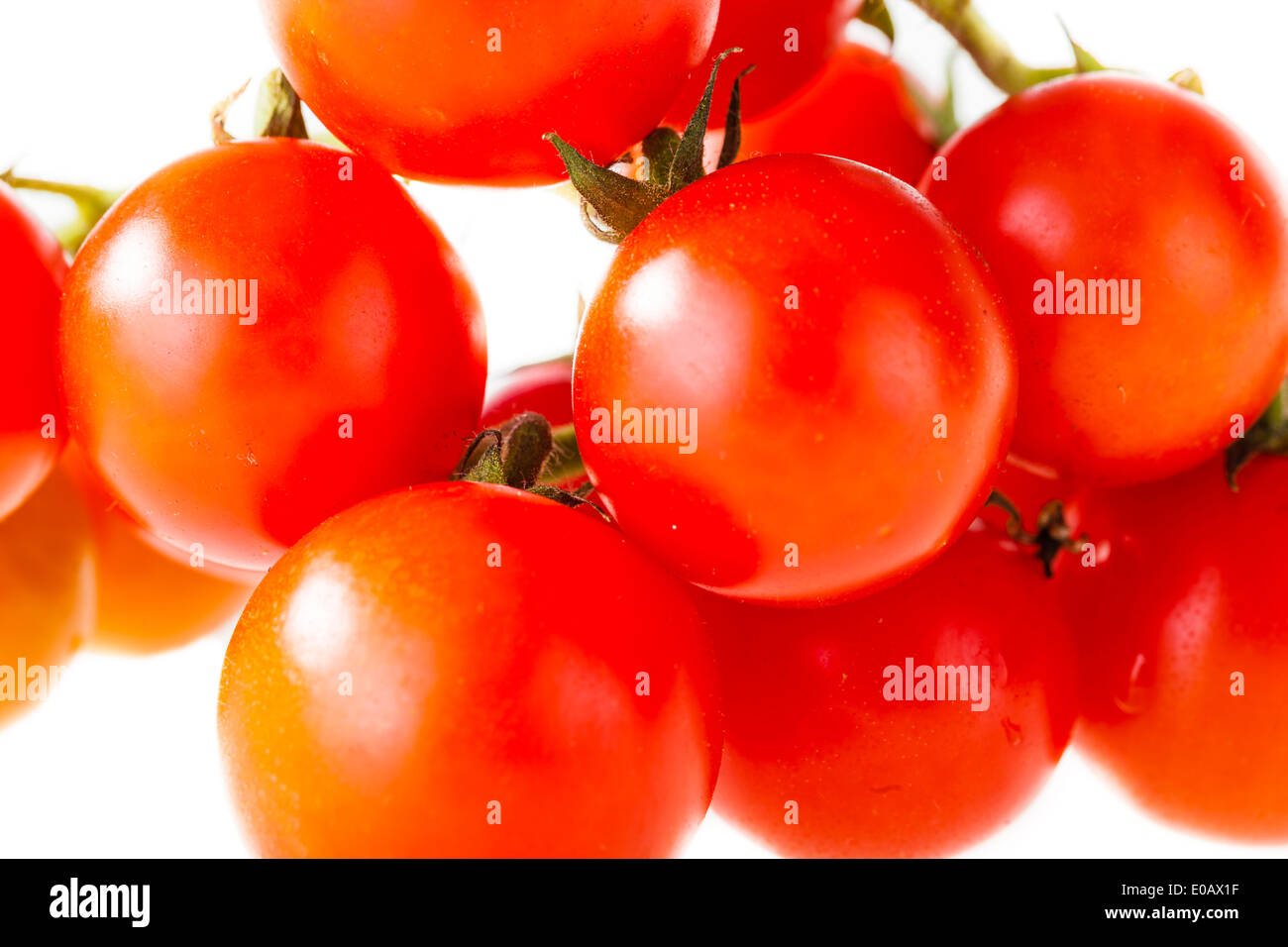 a branch of ripe cherry tomatoes isolated over a white background Stock ...