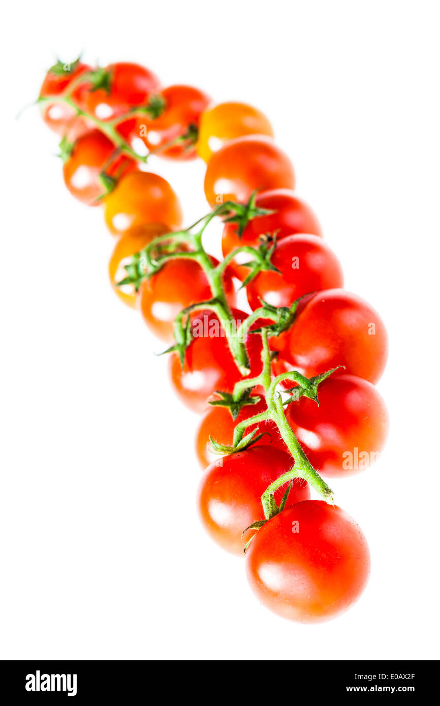 a branch of ripe cherry tomatoes isolated over a white background Stock ...