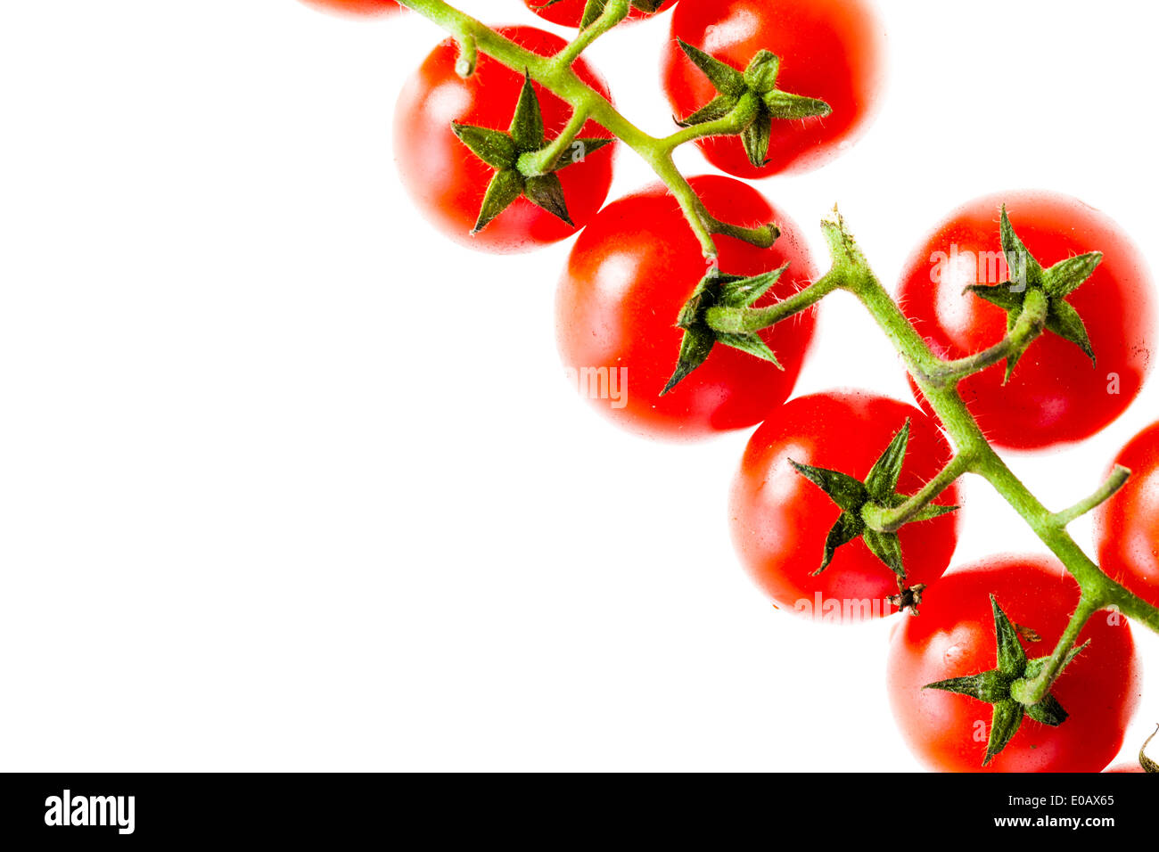 a branch of ripe cherry tomatoes isolated over a white background Stock ...