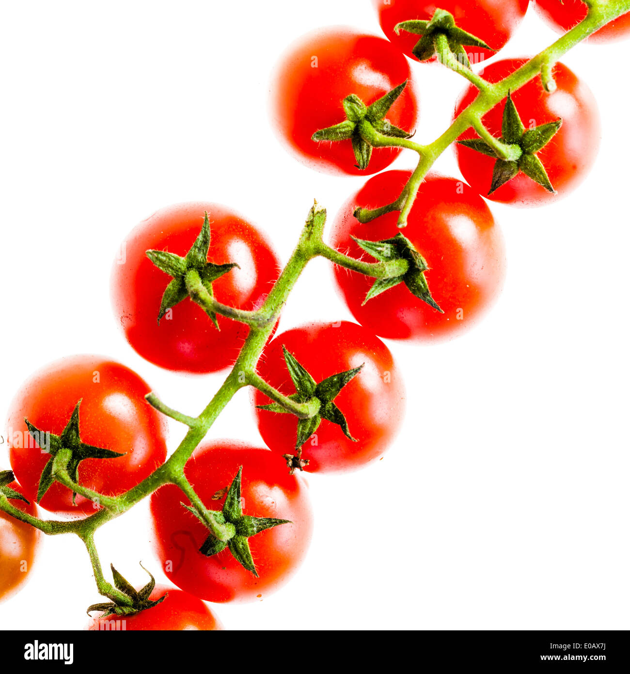 a branch of ripe cherry tomatoes isolated over a white background Stock ...