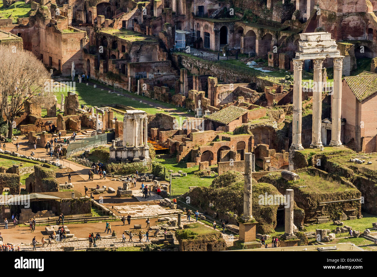 Italy, Rome, Forum Romanum Stock Photo