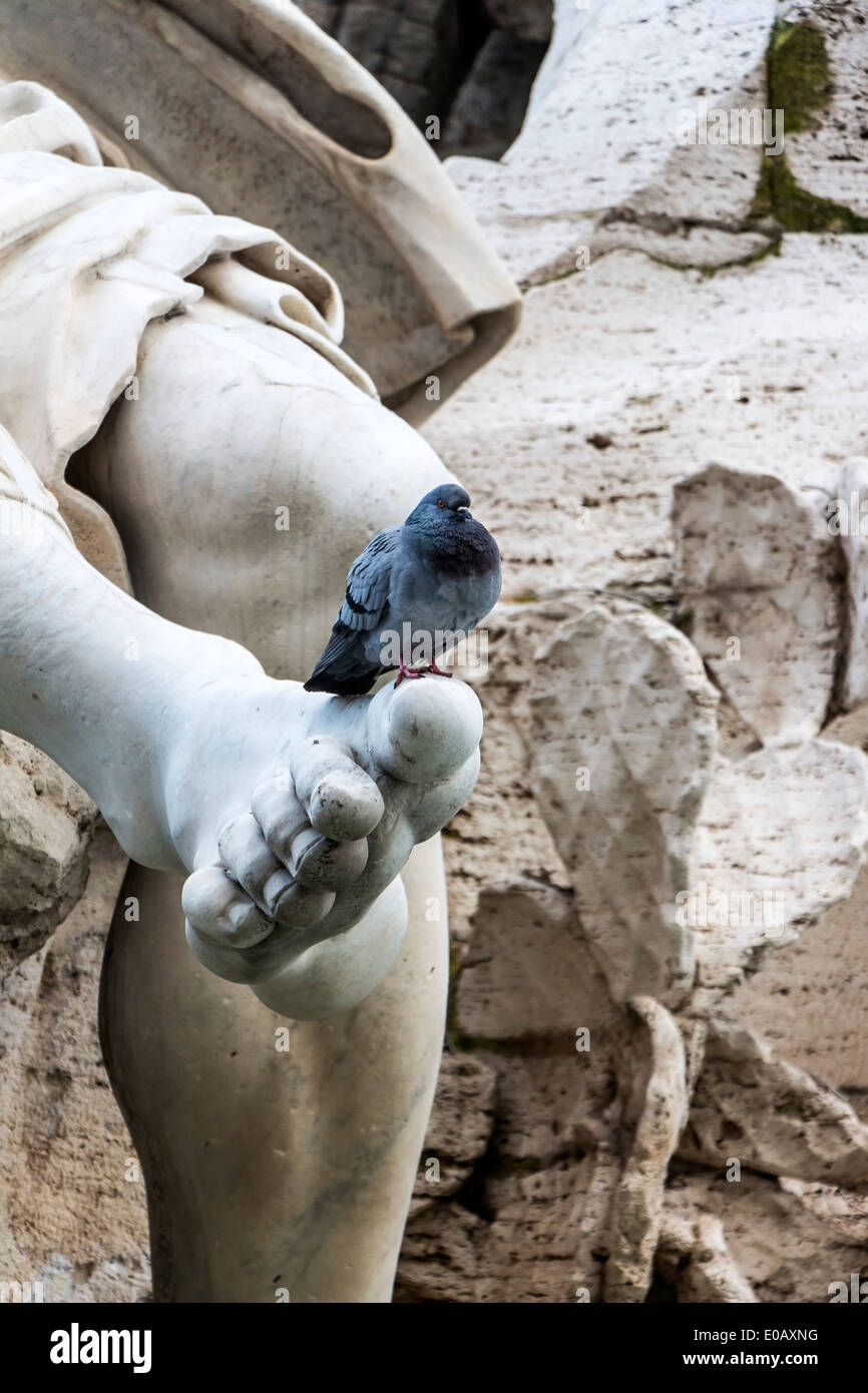 Italy, Rome, Piazza Navona, Pigeon on Fontana dei Quattro Fiumi Stock Photo