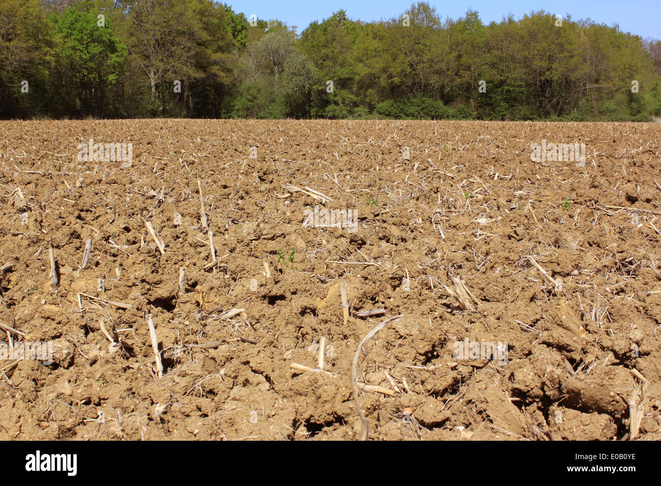 ground plowed for an organic farming for the sowing of spring with a horizon raised on a blue sky Stock Photo