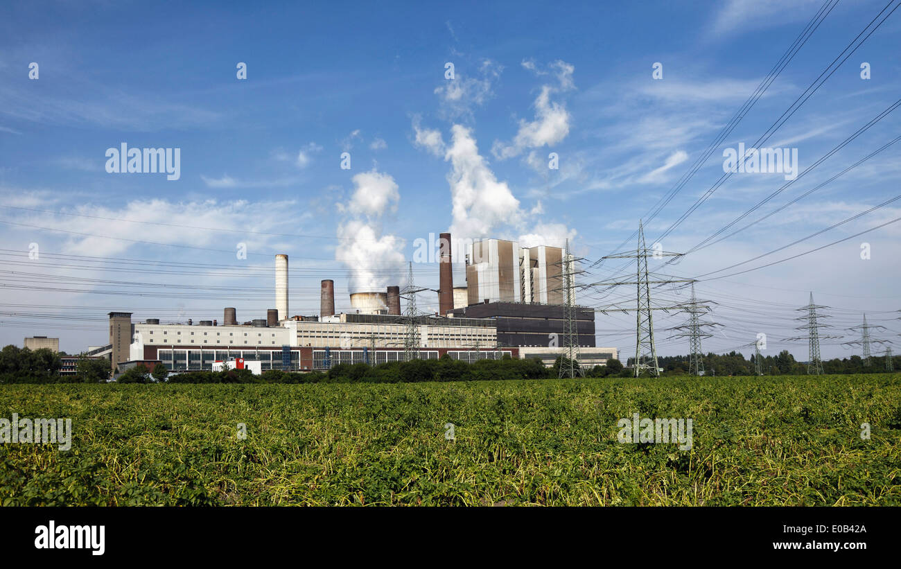 Germany, North Rhine-Westphalia, Weisweiler power station Stock Photo