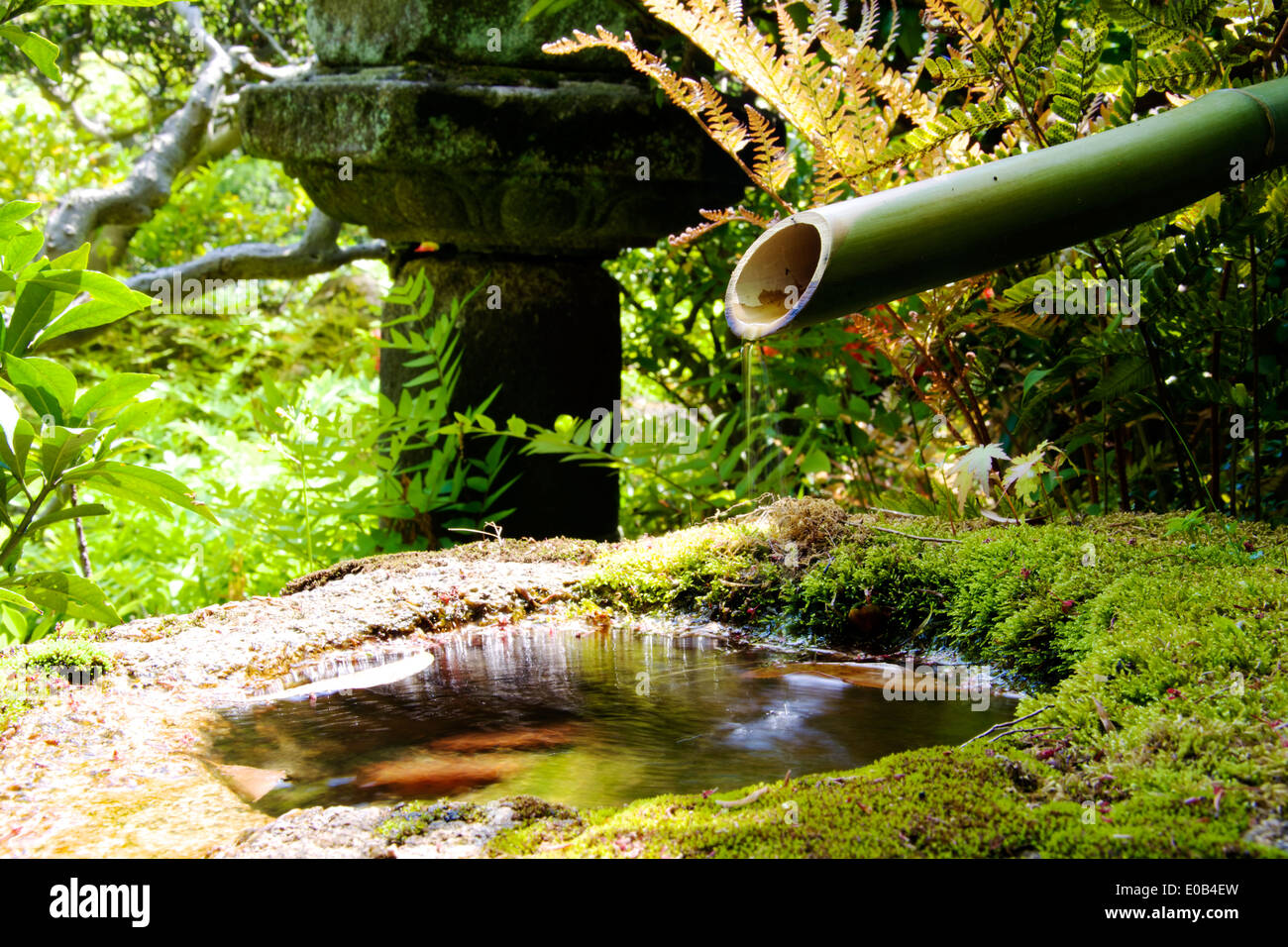 Small Fountain near a Shinto Shrine in Japan. Stock Photo