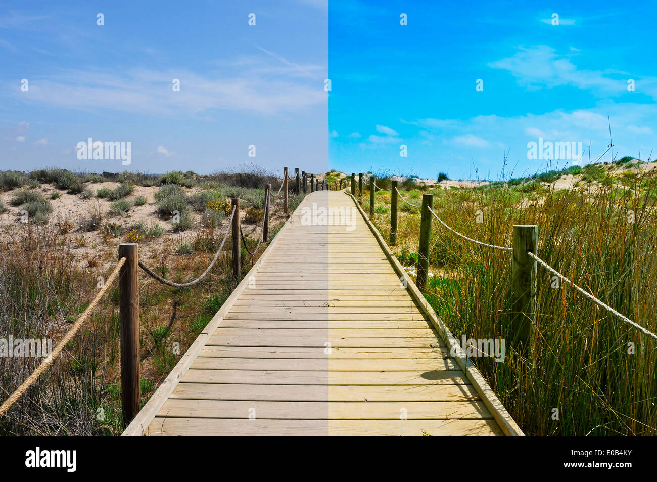 landscape with a broadwalk before and after the image editing process Stock Photo