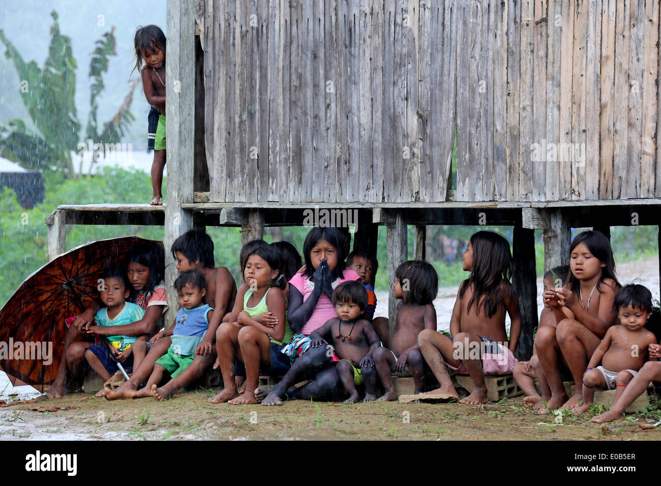 indigenous tribes children seeking shelter from rain under wooden houses on stilts in the jungle village, Colombia, Choco Stock Photo