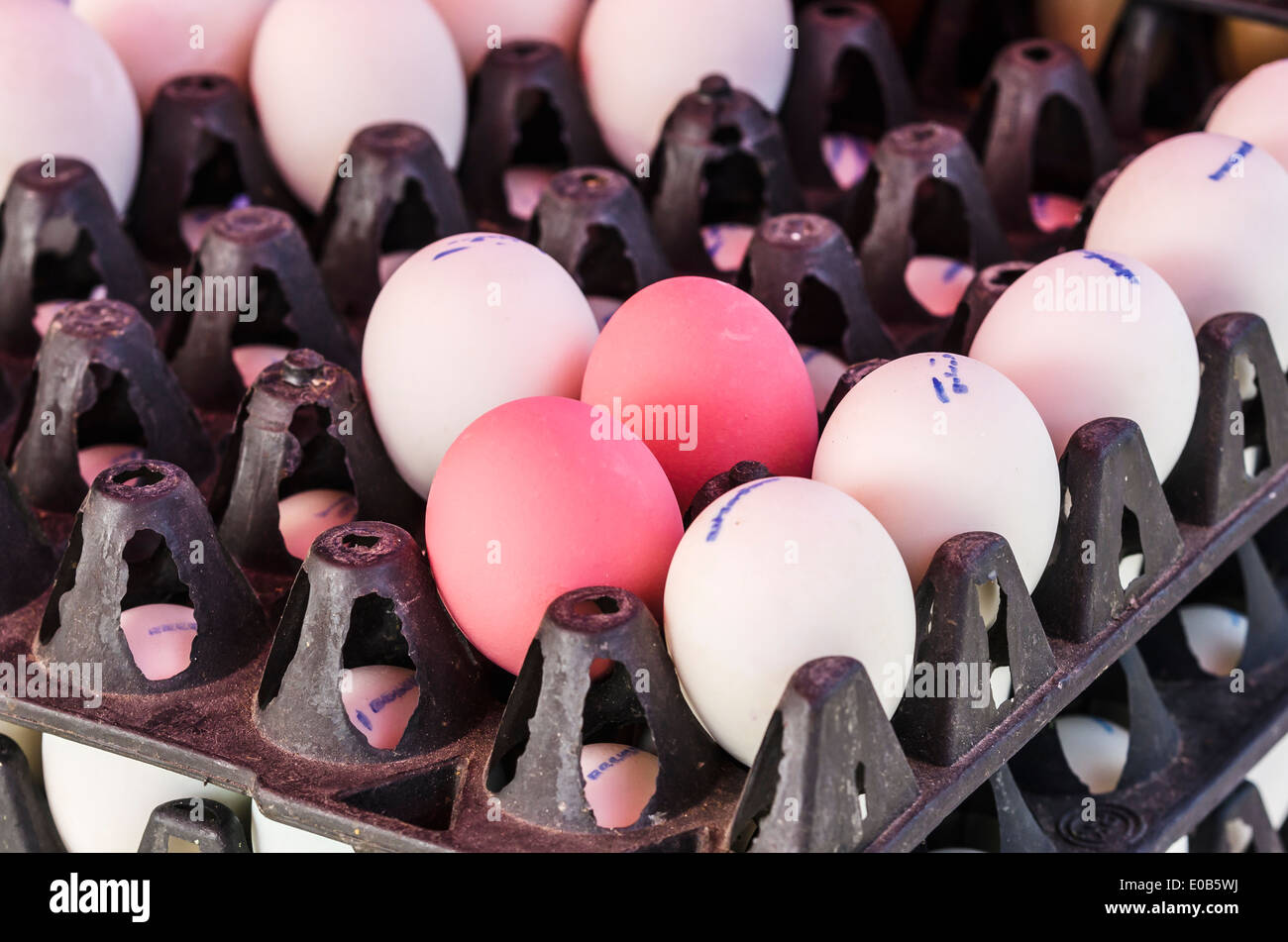 Thailand, Phang Nga, Weekly market near Khuekkhak, White and pink eggs Stock Photo