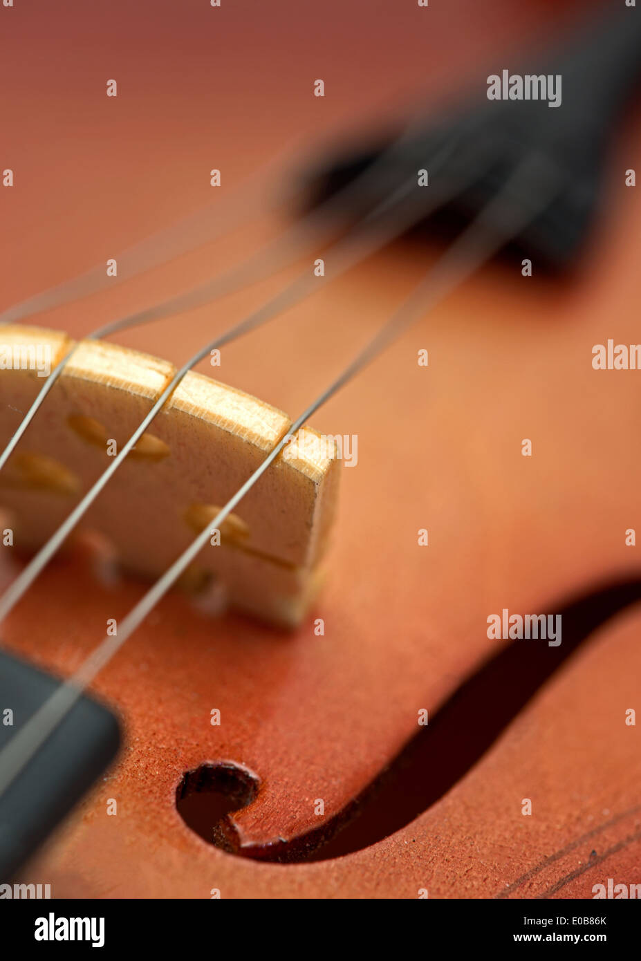 Violin music instrument hi-res stock photography and images - Alamy