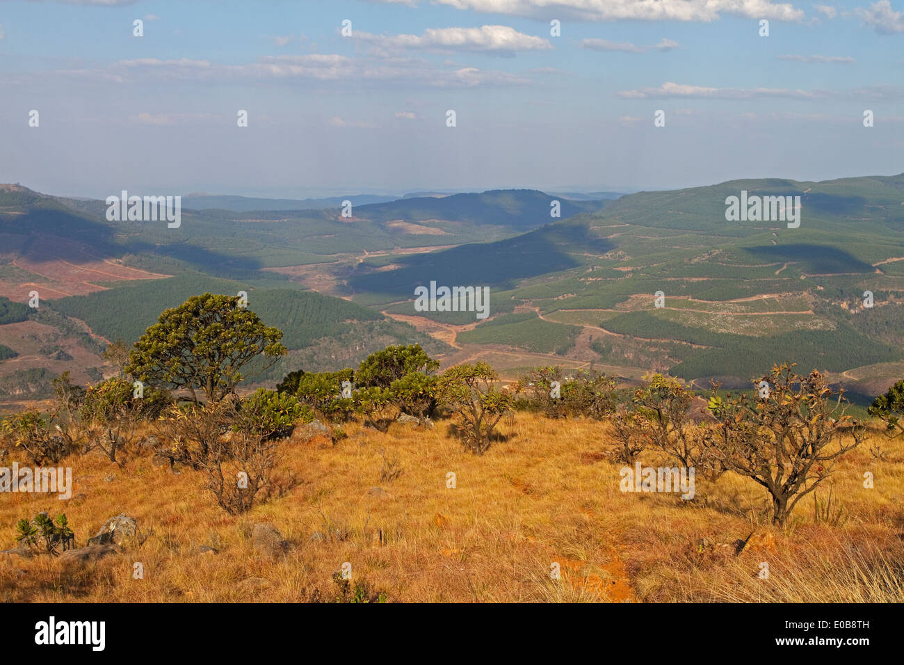 Mountain scenery from Mount Sheba to Pilgrim's Rest in the northern Drakensberg Mpumalanga, Stock Photo