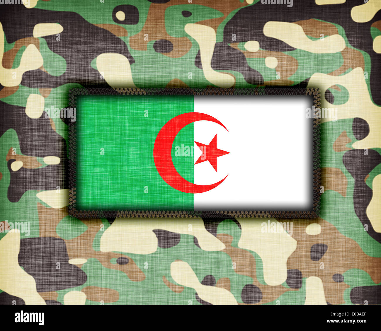 Amy camouflage uniform with flag on it  Algeria Stock Photo