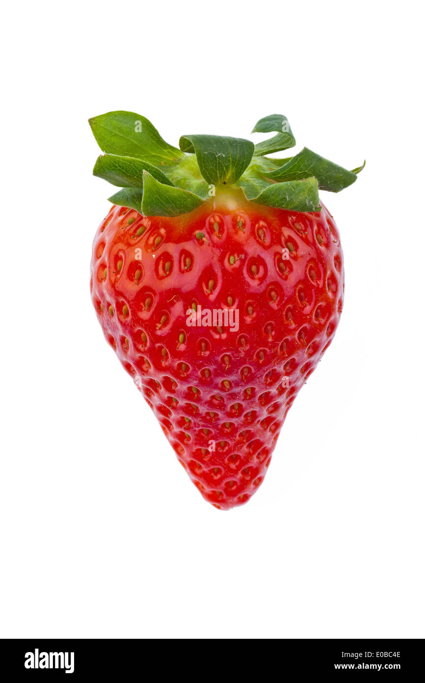 A strawberry exemptly on white background. Admission in the studio of fresh fruit and vegetables, Eine Erdbeere freigestellt auf Stock Photo
