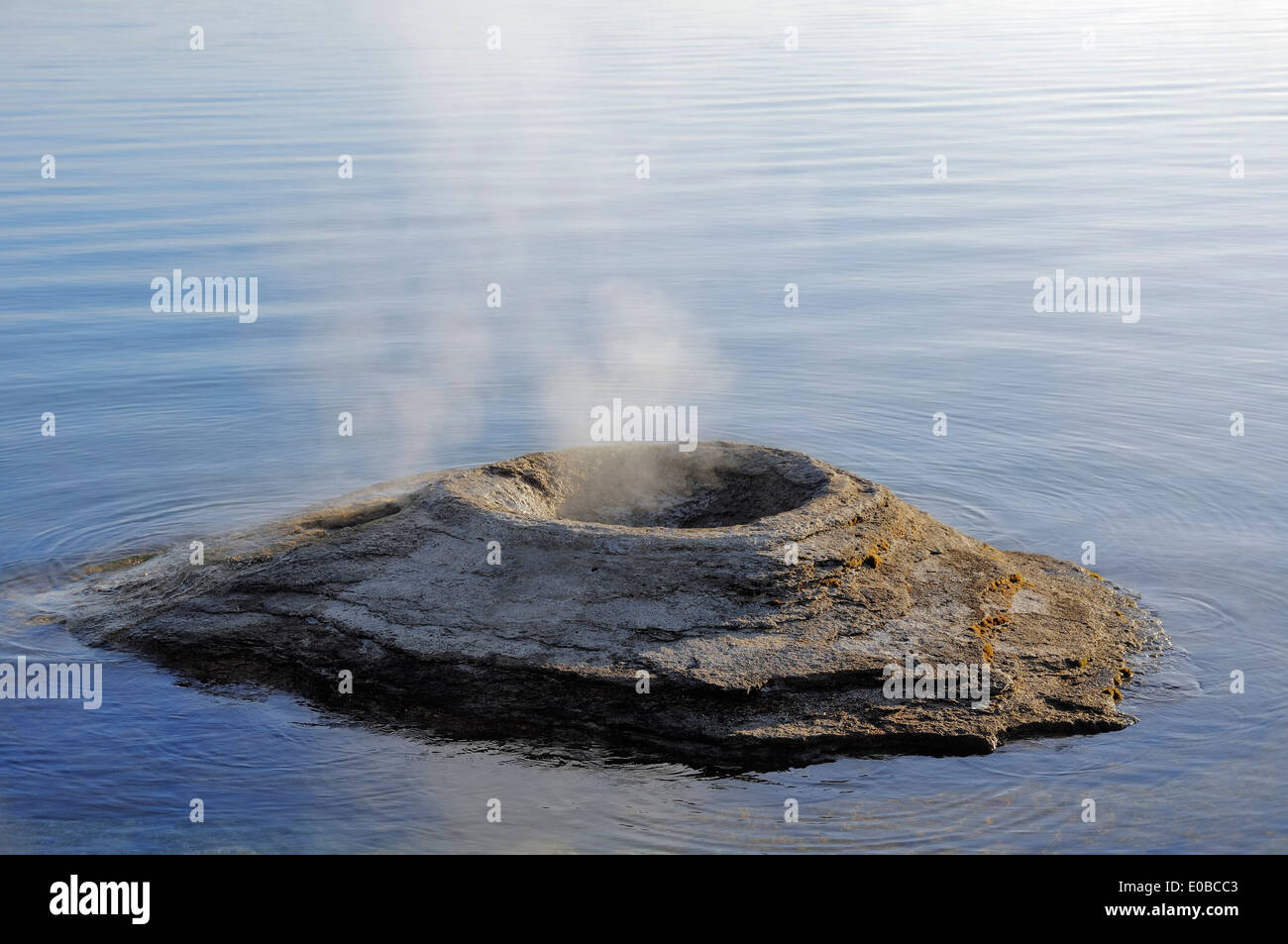 Fishing Cone Geyser, Yellowstone Lake, West Thumb Geyser Basin Stock