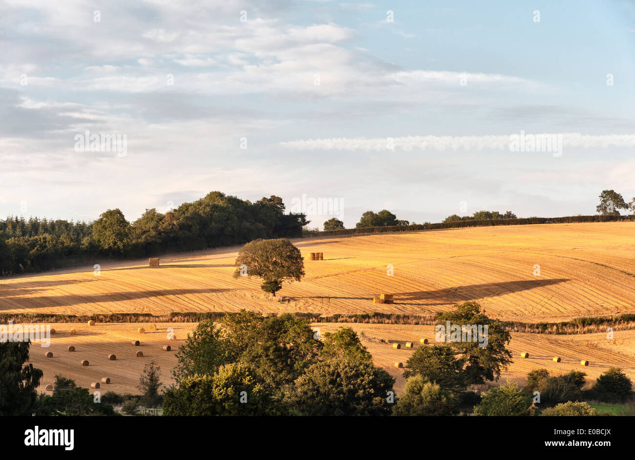 Harvest time on Stapleton Hill, Herefordshire - a late summer evening Stock Photo