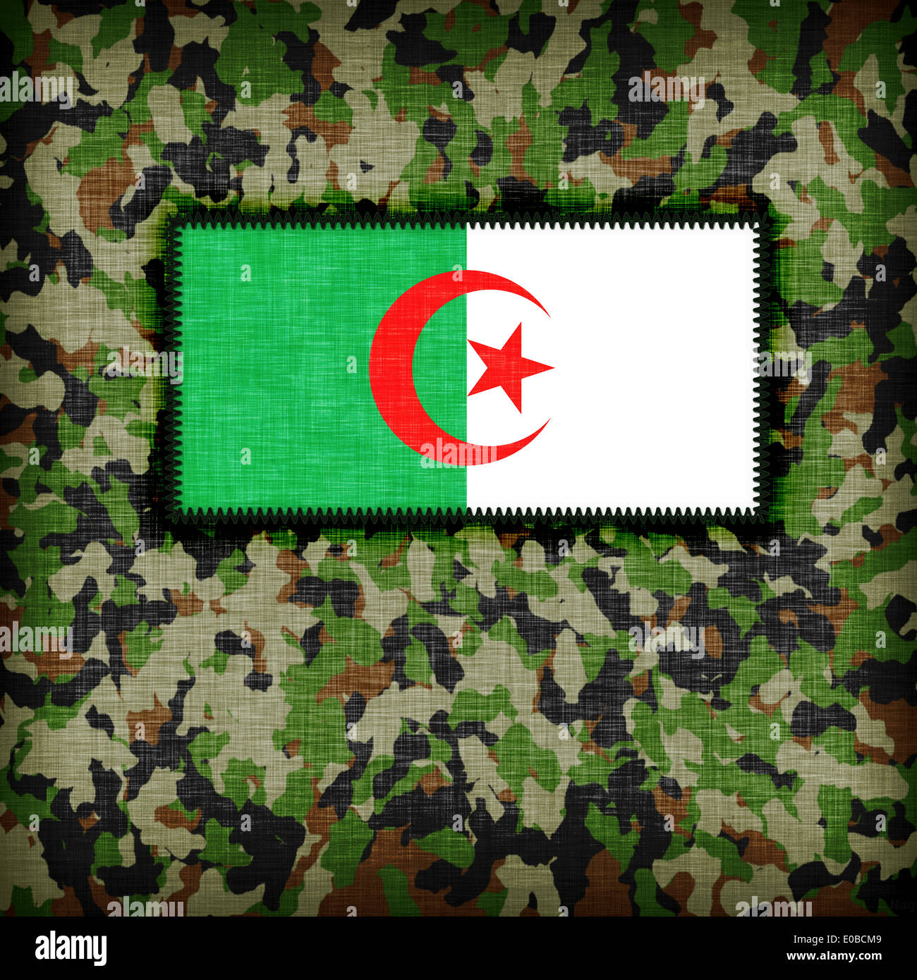 Amy camouflage uniform with flag on it  Algeria Stock Photo