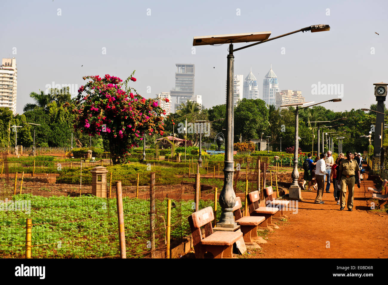 Mumbai Marine Drive Views,Luxury Apartments,Houses,Parsi Towers of Silence,Leafy residential area,Gardens,Mumbai,Bombay,India Stock Photo